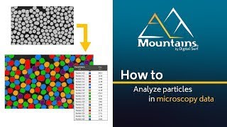 How to analyze particles in microscopy data