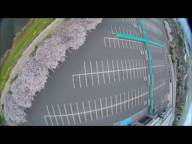 Cherryblossom at YAOCO in my local with LarvaX HD class=