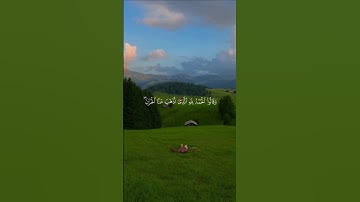 اكتب شيء تؤجر عليه 🤍 #قرآن #quran #راحة_نفسية #سورة_فاطر #عمر_ضياء_الدين #قران_كريم