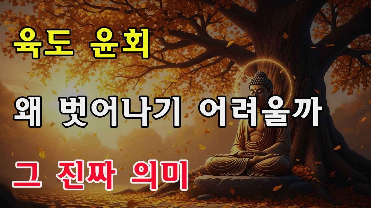 평생 선행해도 왜 마음이 가볍지 않을까? 금강경의 깨달음: 육도는 했지만 보라밀까지는 한 걸음 남았다