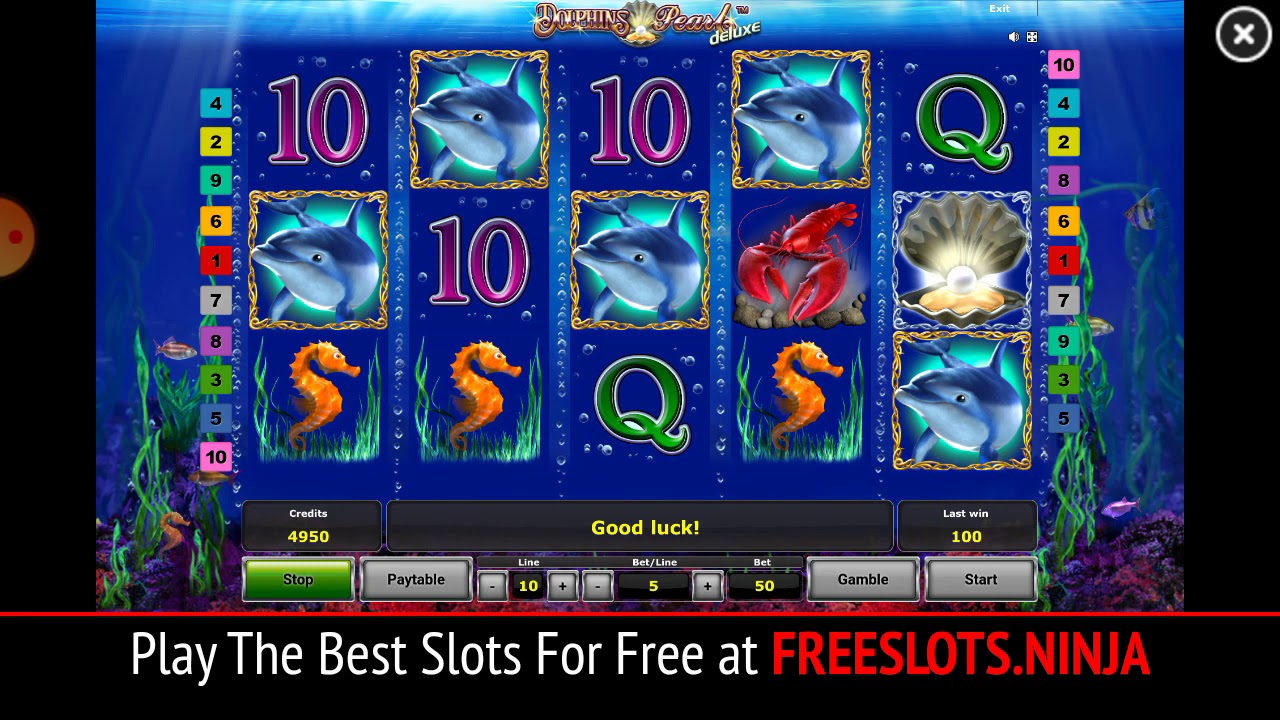 Play Dolphins Pearl Slot Machine By Novomatic For FREE!!! YouTube
