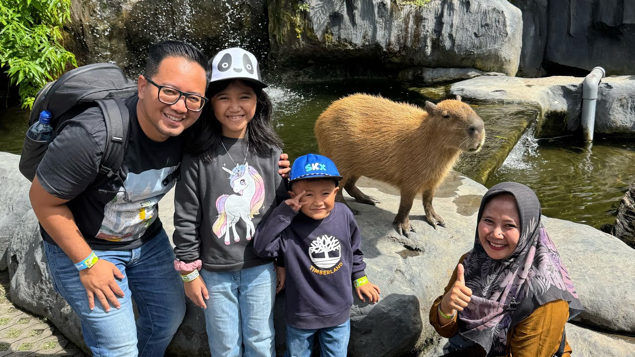 Liburan ke BALI Taman Safari 