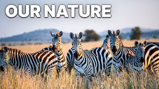 Download Lagu Onze natuur | Symbiotische schoonheid van de natuur MP3