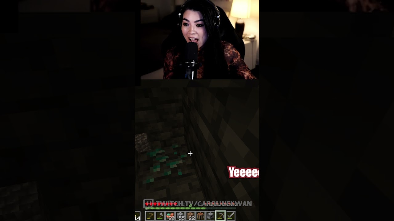 First time playing Minecraft