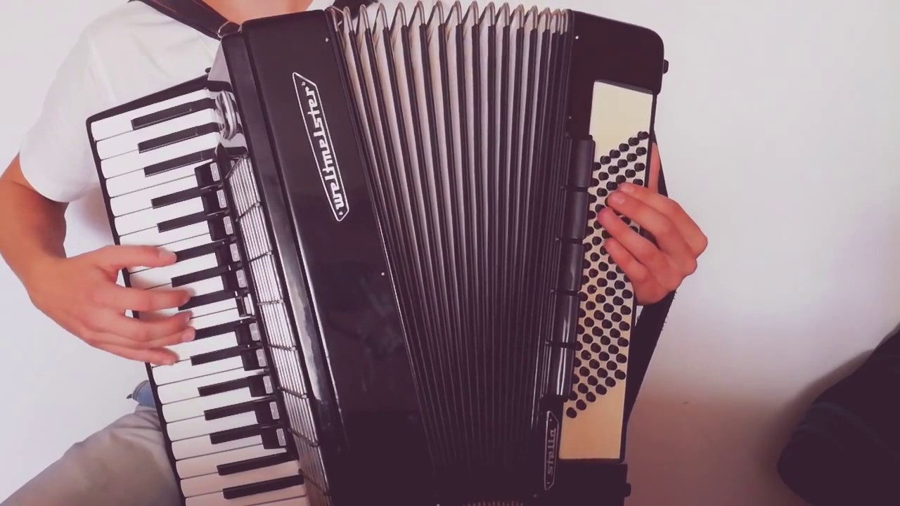 Mr Zoob - Mój jest ten kawałek podłogi / akordeon cover