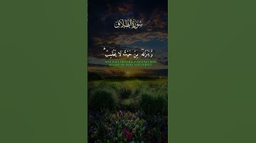 سورة الطلاق للشيخ فارس عباد تلاوه @خاشعه هادئه #المصحف #اكسبلور