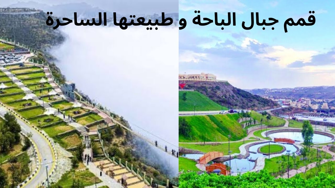 #الباحة #السعودية مدينة الغابات - المنتزهات الطبيعية الخضراء 