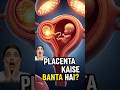 Placenta kaise Banta hai? #placenta#pregnancy #shorts