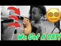 Taking Delivery of a CAT !? 😩😩 | Authentic Frenchies | Authentic Benny