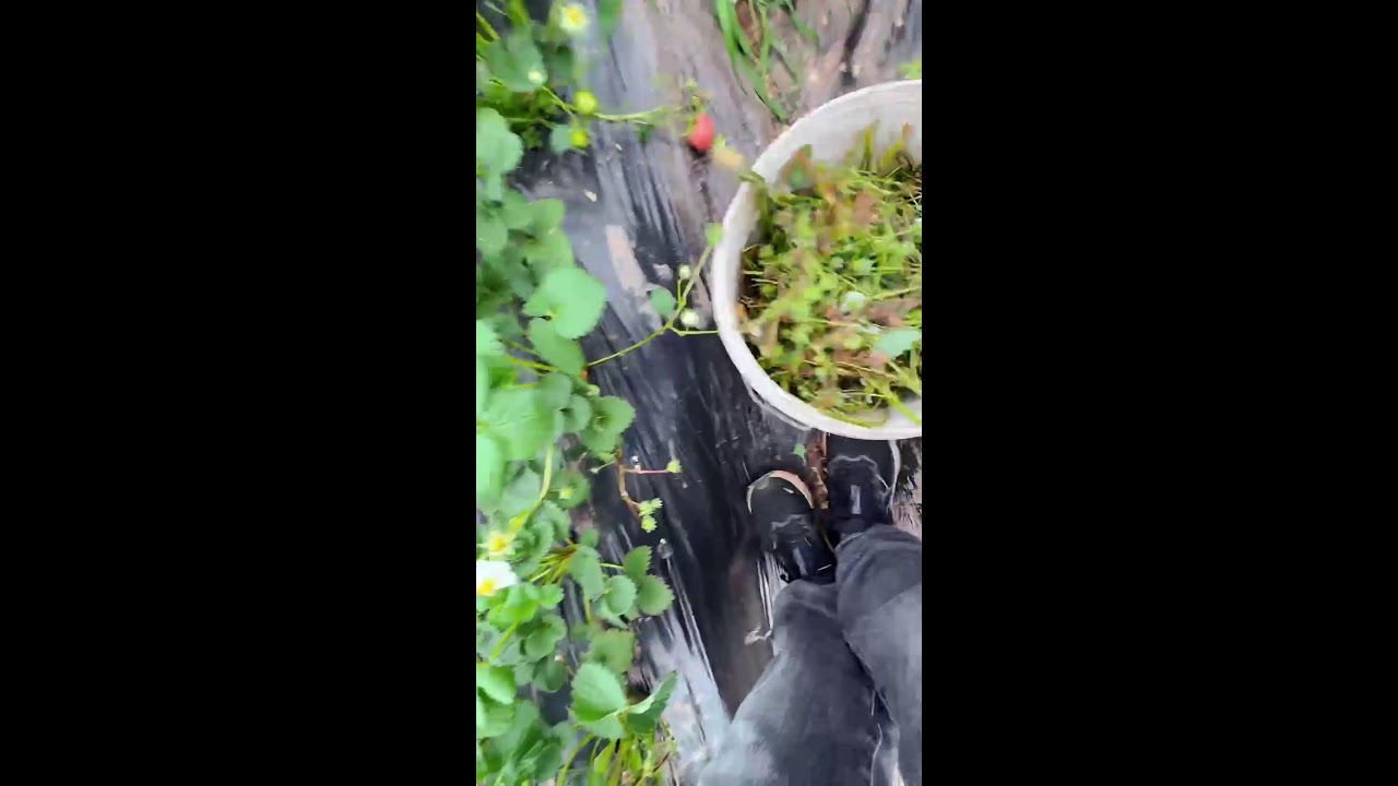 ❤️‍🔥LIVE STREAMING❤️‍🔥