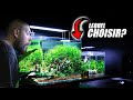 Aquarium ou aquascaping je taide  choisir