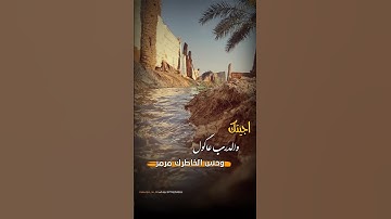 Thumbnail of ياناس رحمو حالي/هيثم يوسف/ #ستوريات 🕊️