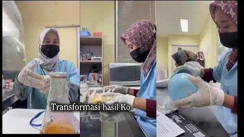 WhatsApp Video 2025 12 11 at 14 12 16