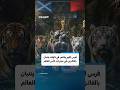 حيوانات في #تايلاند تدخل سباق توقعات نتائج مباريات كأس العالم 2026