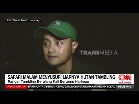 Night Safari: Exploring the Wilds of Tambling Forest | REDAKSI PAGI (09/05/26)