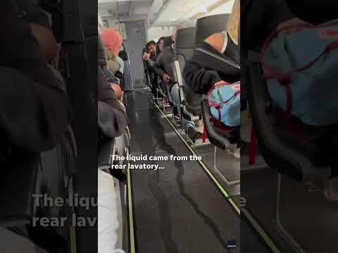 Mysterious liquid flows from plane bathroom on Spirit flight #Shorts