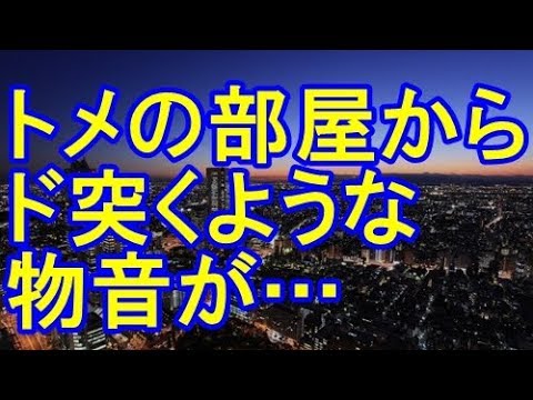 【スカッとする話】犬「ウゥ～」私「どうしたの？」トメ『嫁子は出て行け！』私「え？」トメ『犬ばっかり可愛がりやがって！ババアは嫌いなんだ！』 → 結果…【スカッとハウス】
