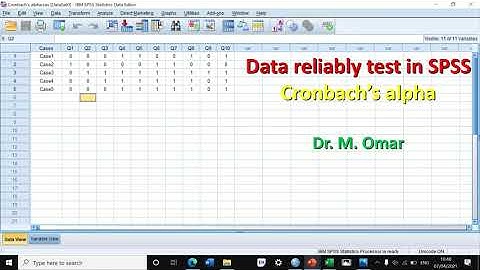 How to do Data reliably test in SPSS, Cronbach’s alpha