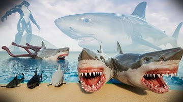 Shark Size Comparison 3D | 3d Animation Comparison 2025