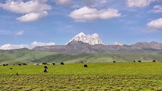 Travel Video Of Tagong Grland In Garze, Sichuan, China - Shared