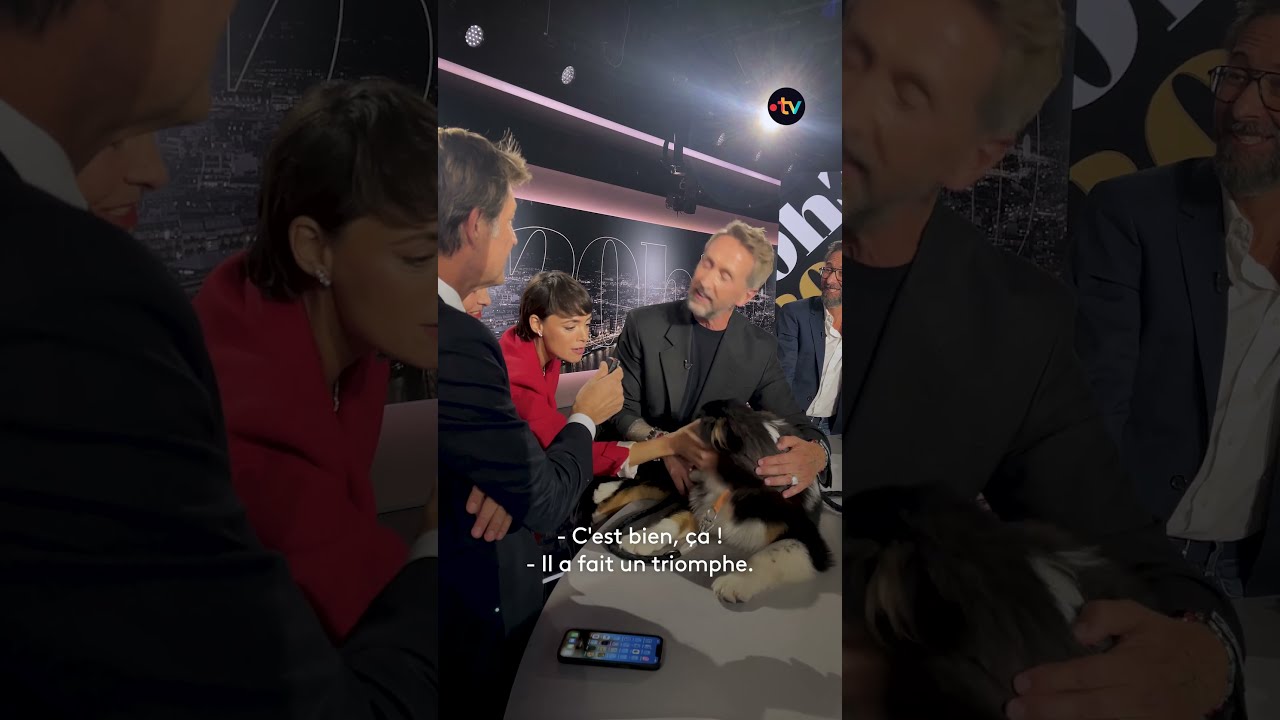 Je Vous Pr Sente La Nouvelle Mascotte De 20h30 Le Dimanche Chien Humour