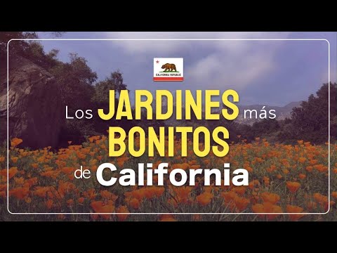 Video: Los jardines públicos más bellos de Los Ángeles