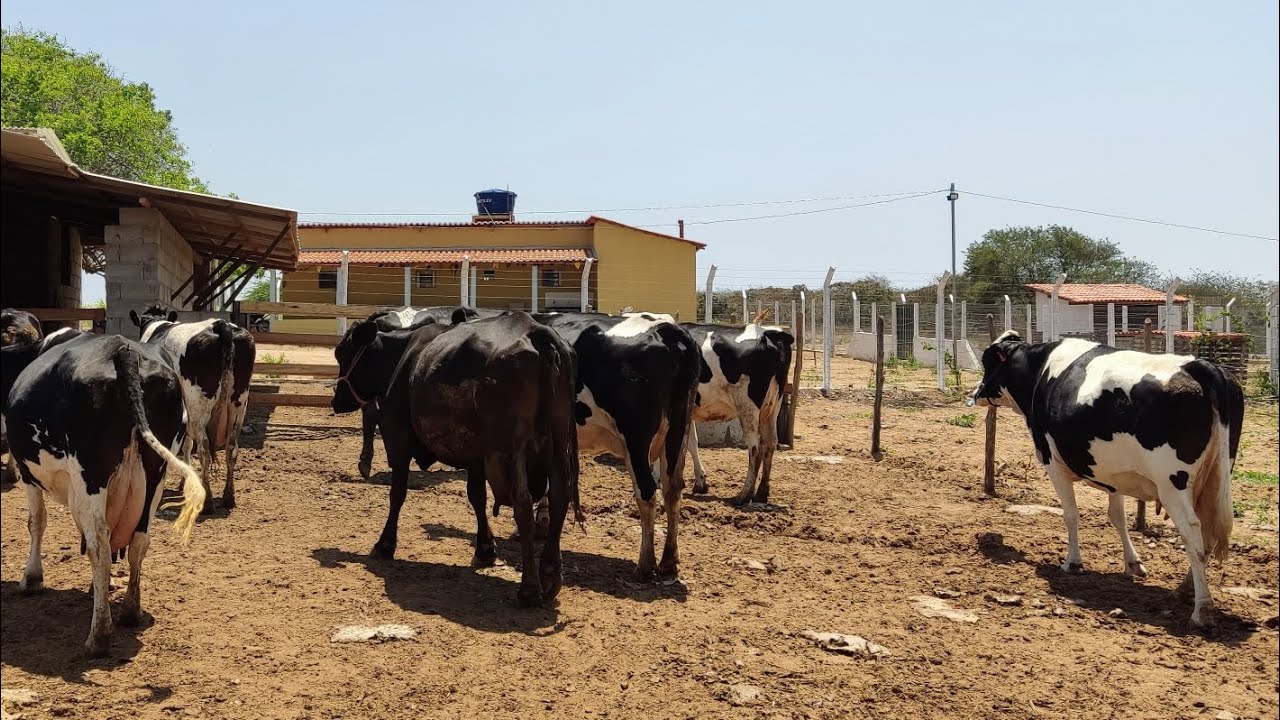 VENDE-SE FAZENDA DE PORTEIRA FECHADA COM POÇO DE IRREGAÇÃO E ETC SÃO VICENTE PB