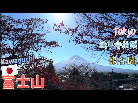 河口湖一日遊 / 東京秋季銀杏樹/ 淺草寺的籤運 A day trip to Mt.Fuji , Ginkgo trees in Tokyo