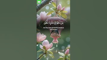 تلاوة رائعة ماشاء الله 🥰📖🕌 #اكسبلور