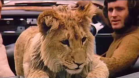 A lion called Christian   The whole Documentary Full length