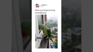 When We Forgot The Towel Towel Funny Meme