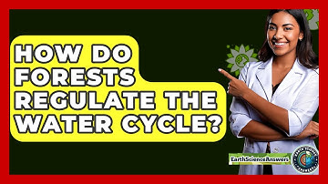 How Do Forests Regulate The Water Cycle? - Earth Science Answers