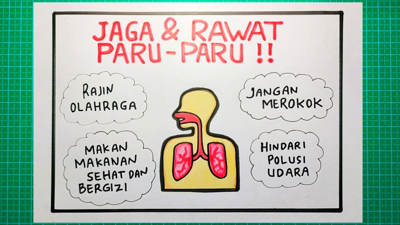 Contoh Poster Cara Merawat Organ Pernapasan Contoh Poster Ku Sexiz Pix