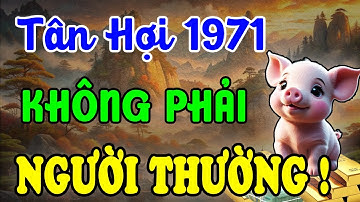 Cả Đời Khổ Vì Có Căn Trả Nghiệp - Tân Hợi 1971 Hậu Vận Là Đại Phúc, Nếu Hiểu Được 7 Điều Này