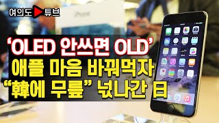 [여의도튜브] ‘OLED 안쓰면 OLD’애플 마음 바꿔먹자“韓에 무릎” 넋나간 日 /머니투데이방송