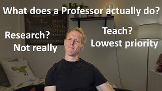 What is the actual job of a professor?
