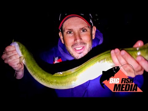 Video: Was man über das Fischen bei Nacht wissen sollte