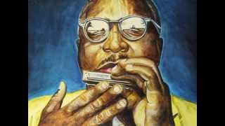 Sonny Terry and Woody Guthrie-Ham and Eggs