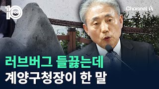 러브버그 들끓는데…계양구청장 “참을 줄 알아야” / 채널A / 뉴스TOP 10