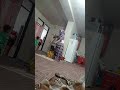 ۲۵ اکتبر ۲۰۲۴