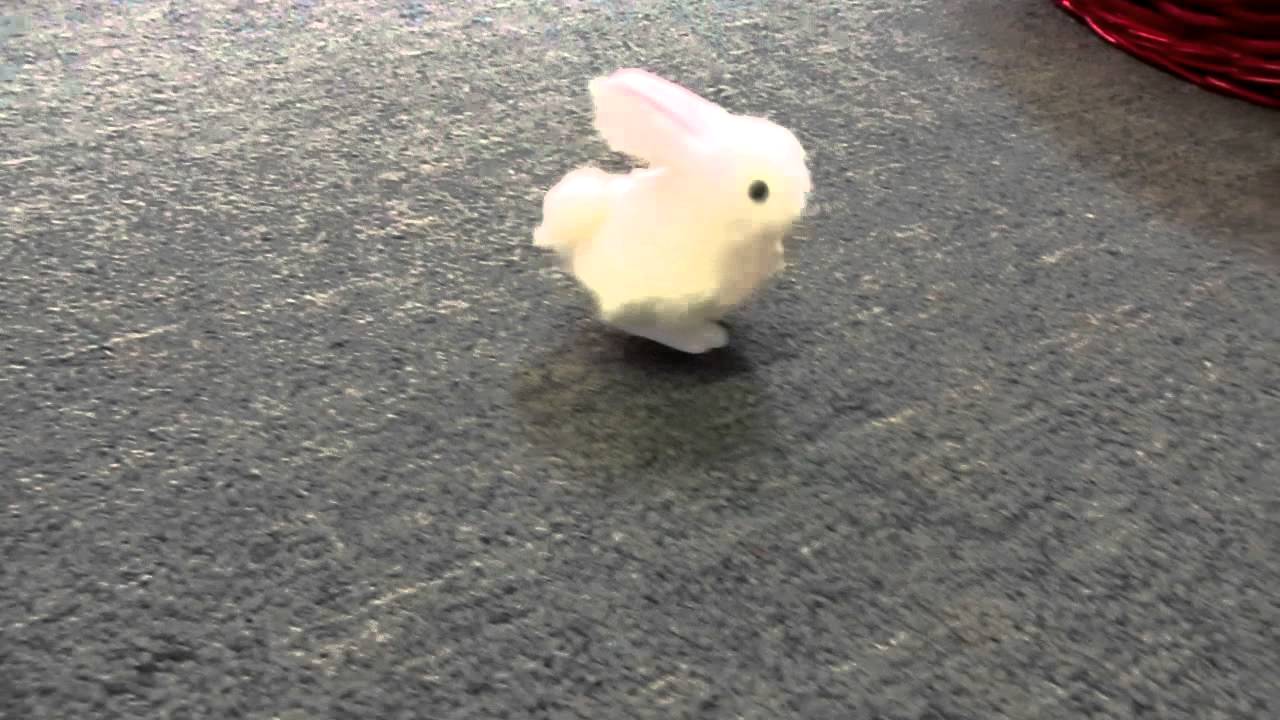 Happy Hoppers Wind Up Animals Bunny YouTube
