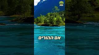 הייתי אמור לצאת עבריין גדול