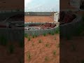 amazing desert became green