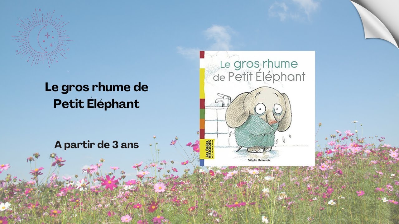 Le gros rhume de Petit Éléphant de Sibylle Delacroix - YouTube