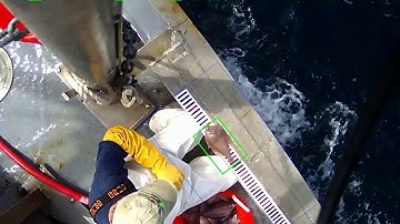 OpenEM detection example