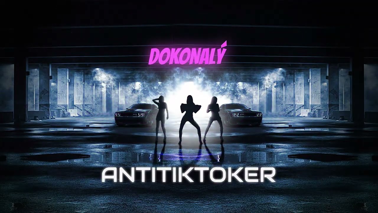 DOKONALÝ