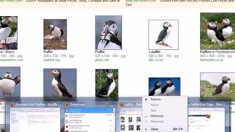 Windows 7 Taskbar Resizing Functions