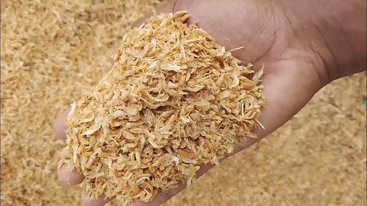 Fishmeal, Jawla fish, Dry fish for fish feed, poultry feed and swine