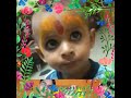 Shri krishna govind hare murari status Whatsapp Status Video Download Free