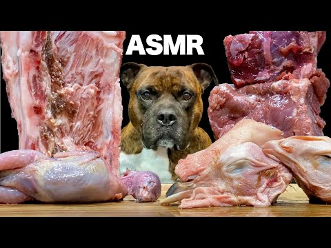 【大食い犬ASMR】羊の背骨を噛み砕きダチョウ鶏頭ウズラは飲み物と化す